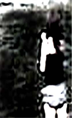 e0103408_12413918.jpg