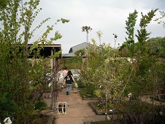 c0190010_20411121.jpg