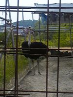 f0143412_2015067.jpg