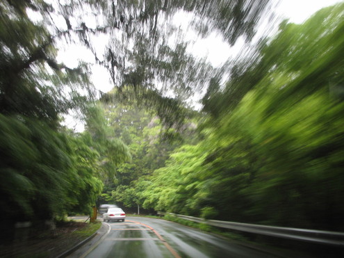e0149215_2045055.jpg