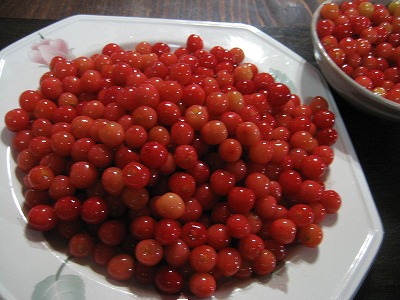 f0139520_20454918.jpg