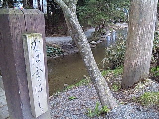 b0073322_20505335.jpg