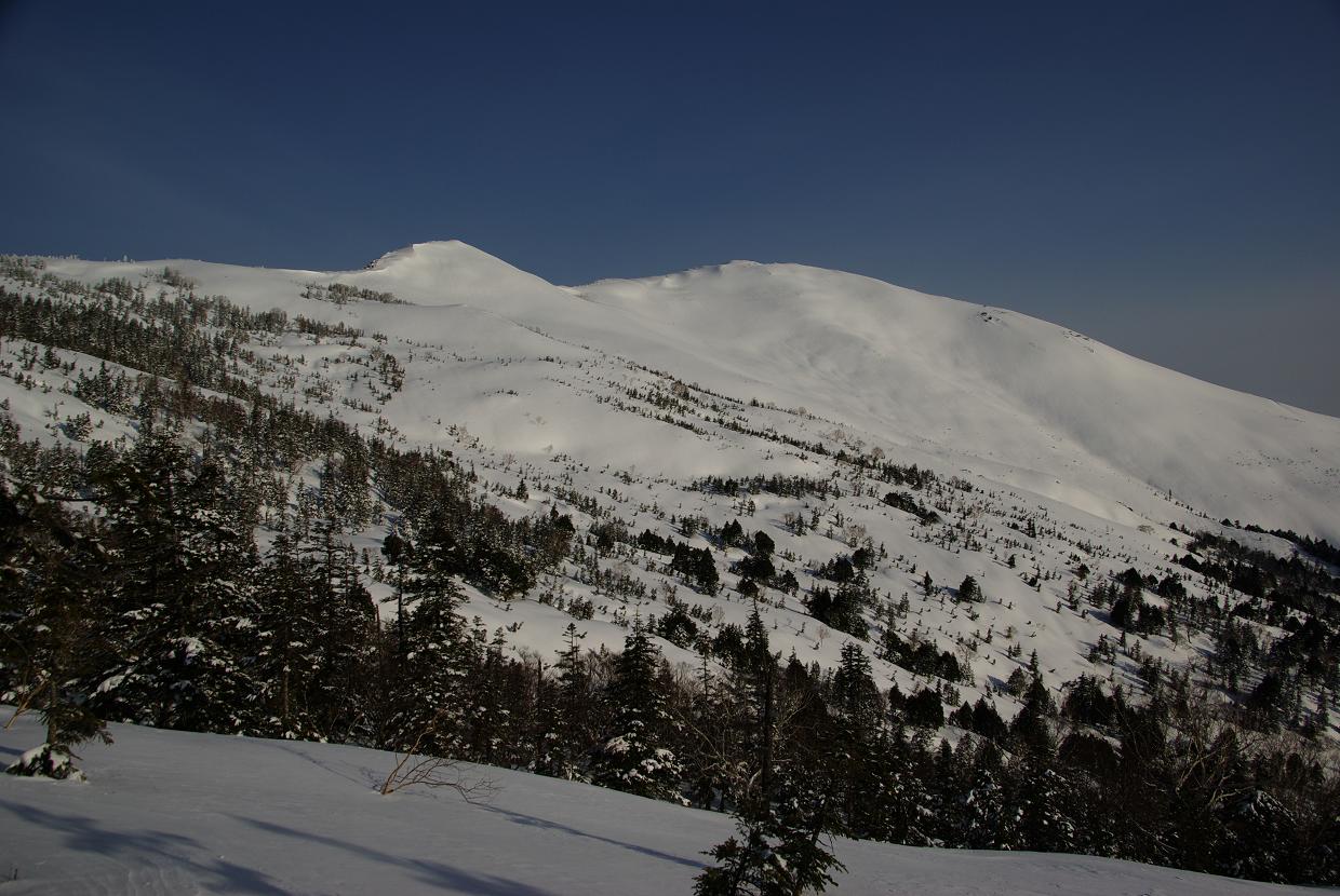 b0062024_810055.jpg