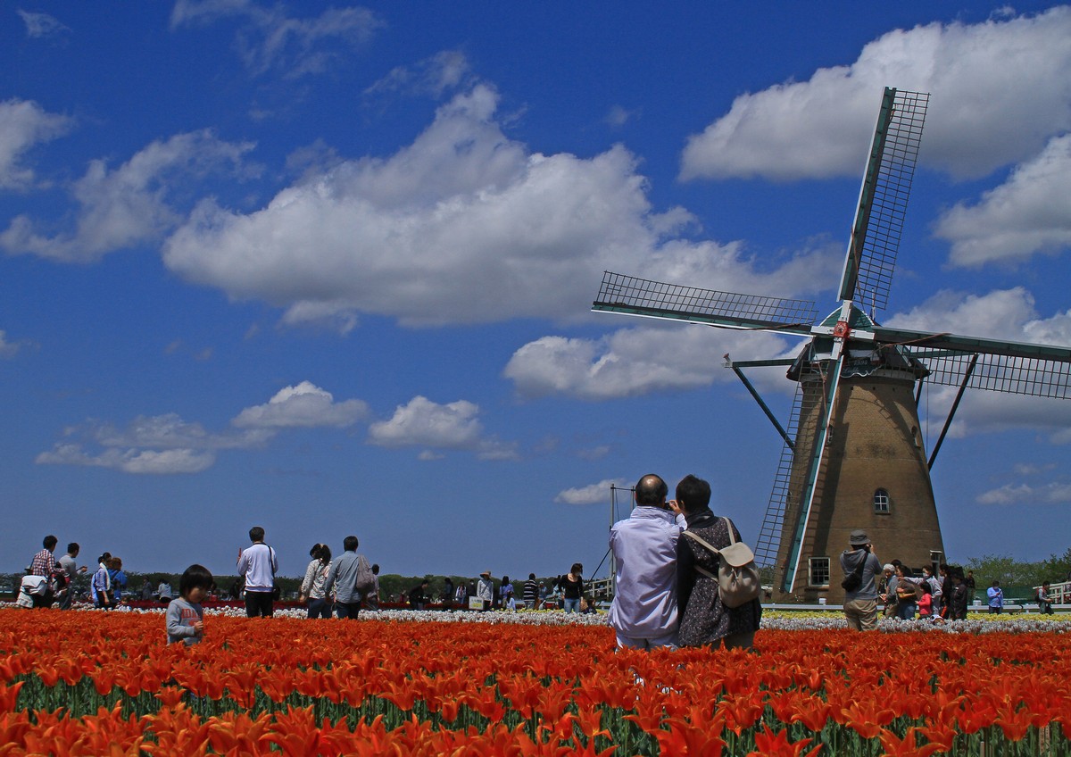 c0104227_17294647.jpg
