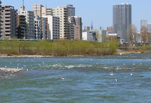 a0046429_13533450.jpg