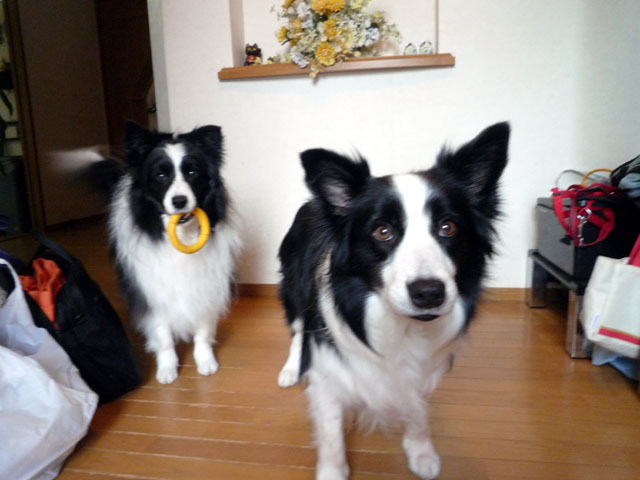d0059230_1031520.jpg