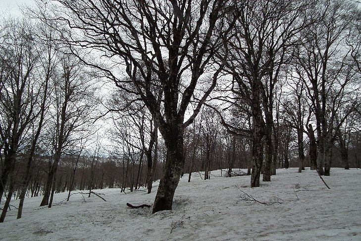 f0118332_23512081.jpg