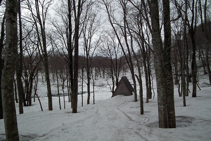 f0118332_23531818.jpg