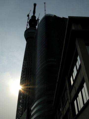 c0212636_1962223.jpg