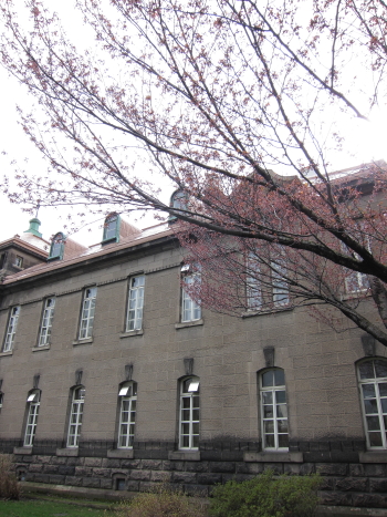 b0006537_2242346.jpg