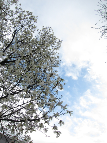 b0006537_2242999.jpg