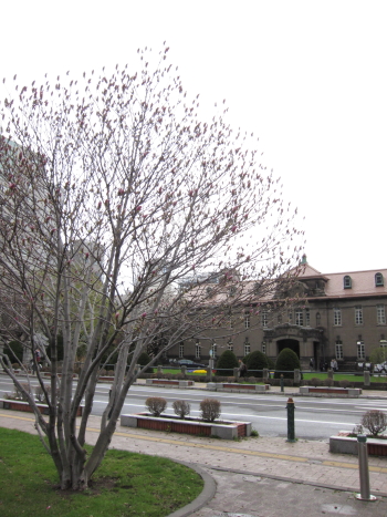 b0006537_2274664.jpg