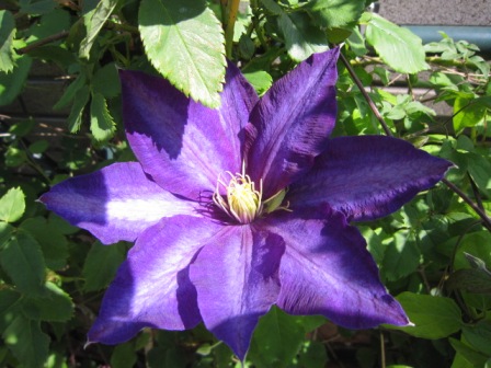 c0025140_22384164.jpg