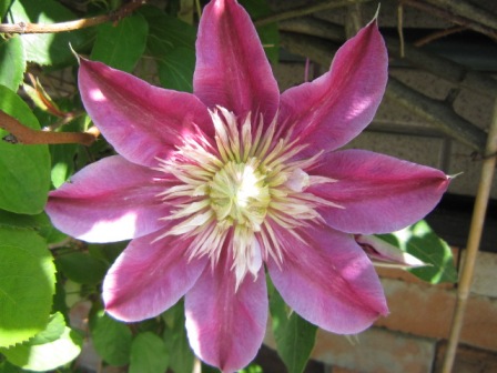 c0025140_2239550.jpg