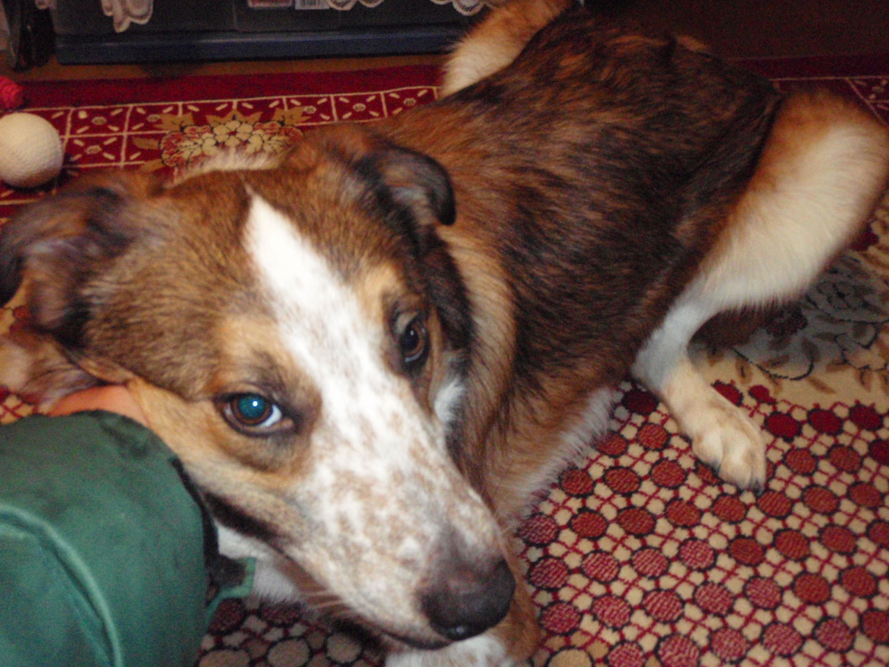 d0077740_21282828.jpg
