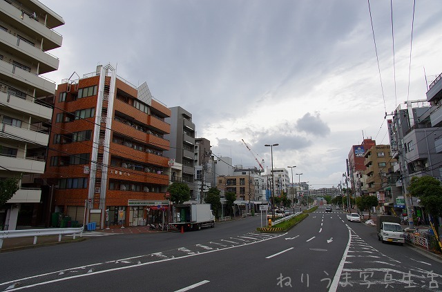 a0009142_2123556.jpg