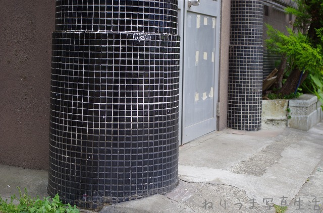 a0009142_21262918.jpg