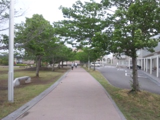 b0199742_20555595.jpg