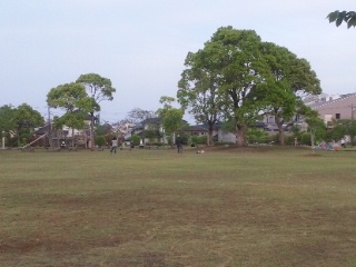 b0199742_205839100.jpg