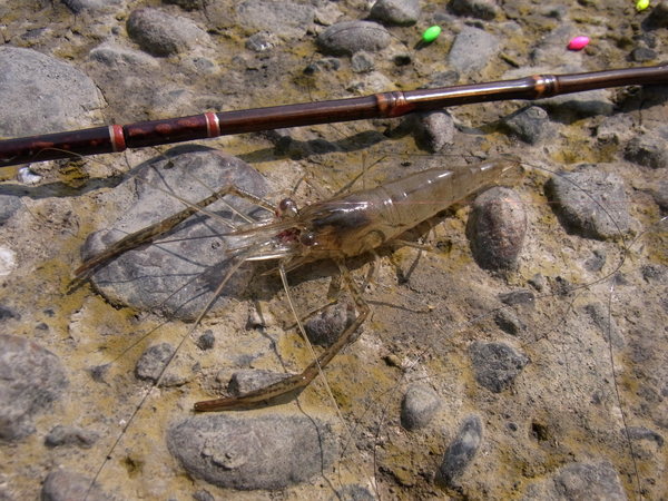 a0175545_8291831.jpg