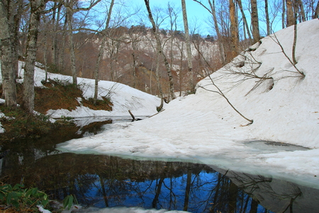 c0122445_10511895.jpg