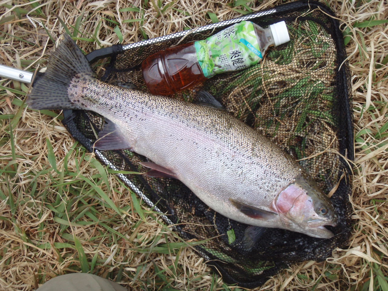 d0083145_2234355.jpg
