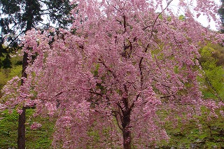 b0200747_19214356.jpg