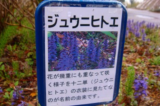 b0200747_1923655.jpg