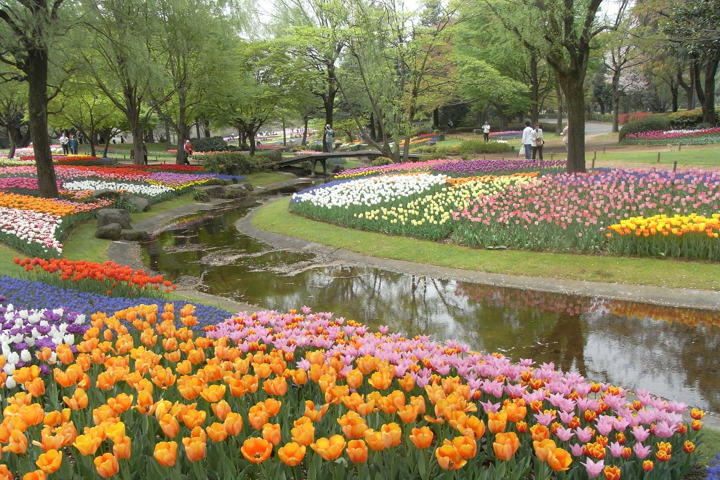 a0169150_22121498.jpg