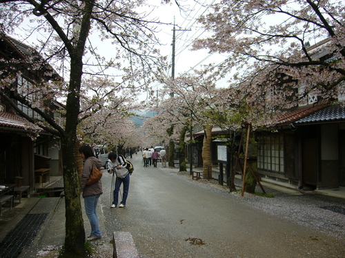 b0174451_11481232.jpg