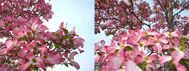 c0225153_174458.gif
