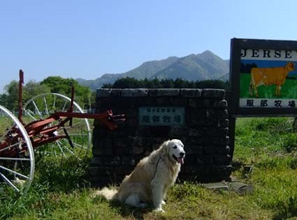 c0097558_15114127.jpg