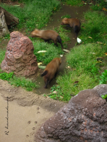c0206559_2304228.jpg