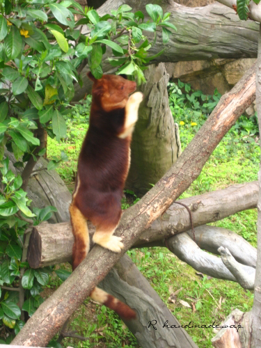 c0206559_2315892.jpg