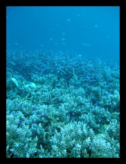 b0062363_16245042.jpg