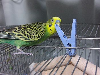 f0196665_2301120.jpg