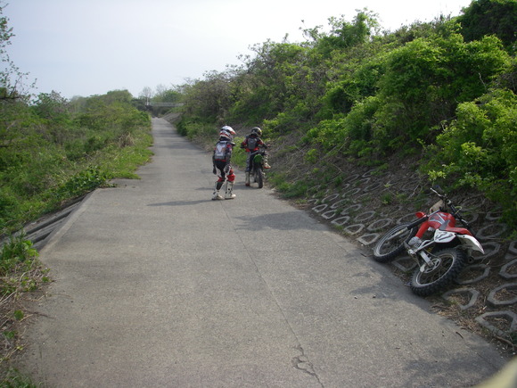 b0024266_1655046.jpg