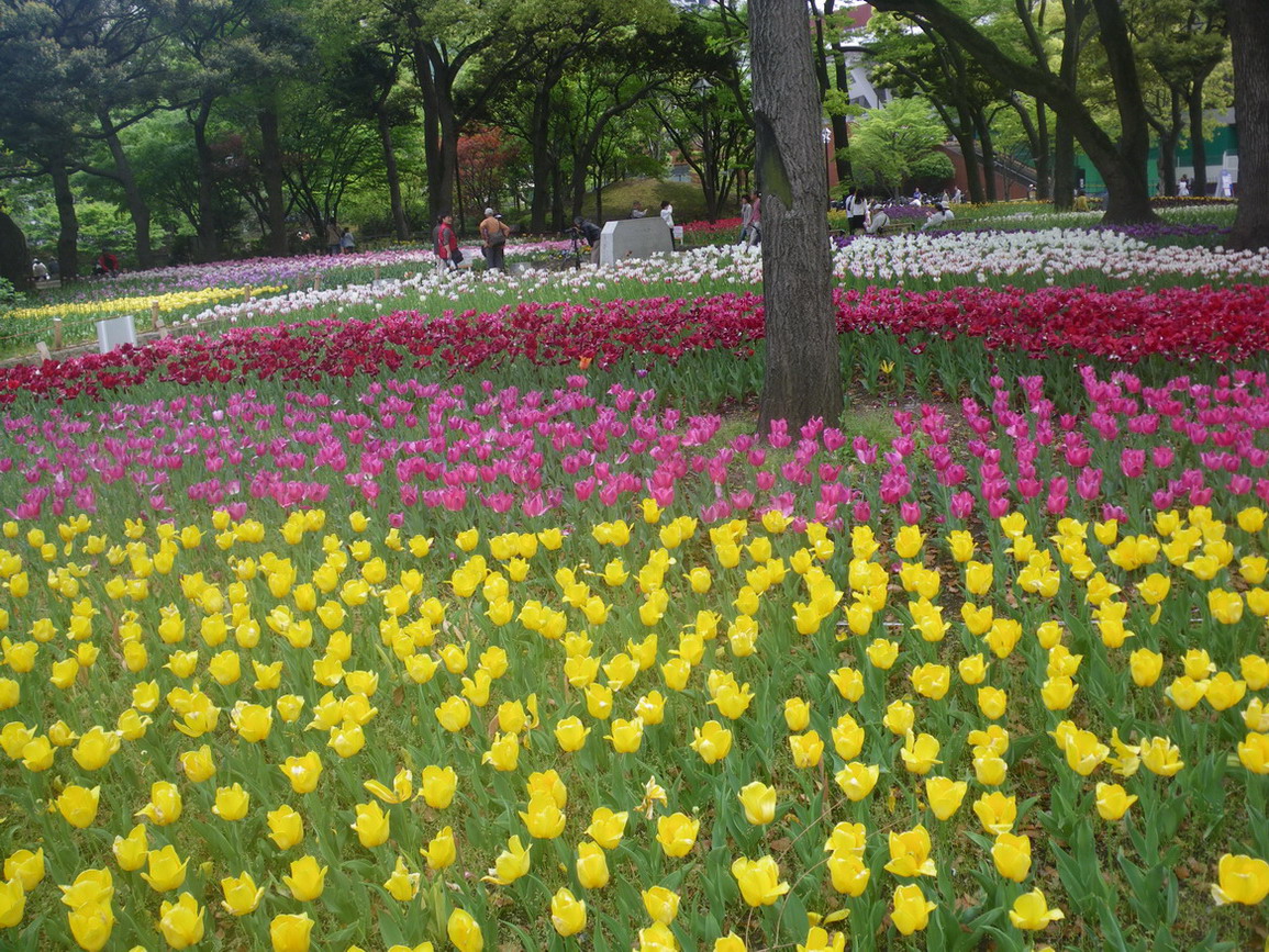 f0157268_2247175.jpg