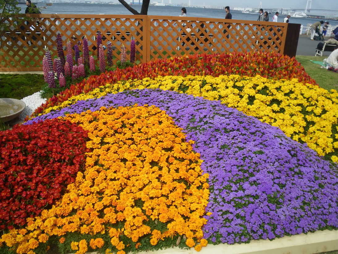 f0157268_2310991.jpg