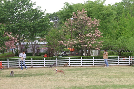 e0062371_2122188.jpg