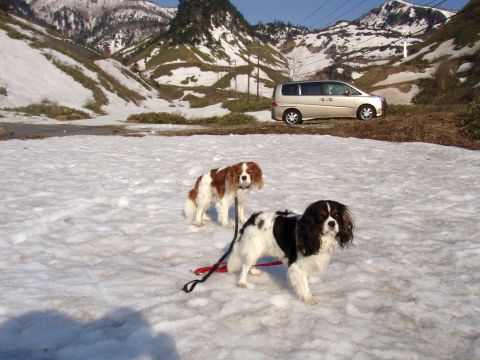 f0047773_11121030.jpg