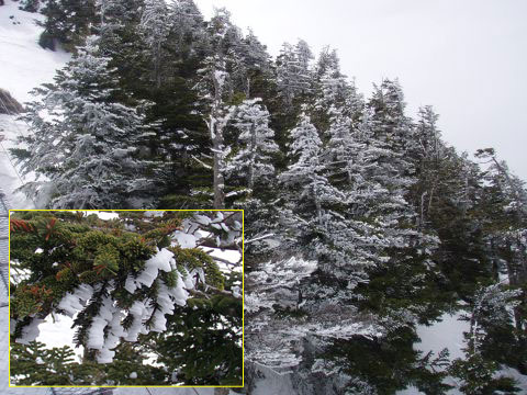 f0047773_11465510.jpg