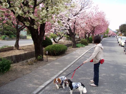 f0047773_1164183.jpg