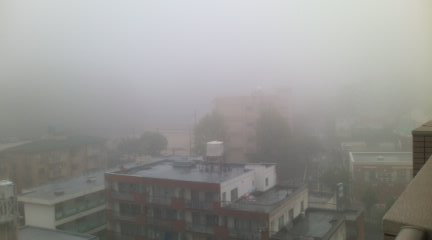 b0046478_20405678.jpg
