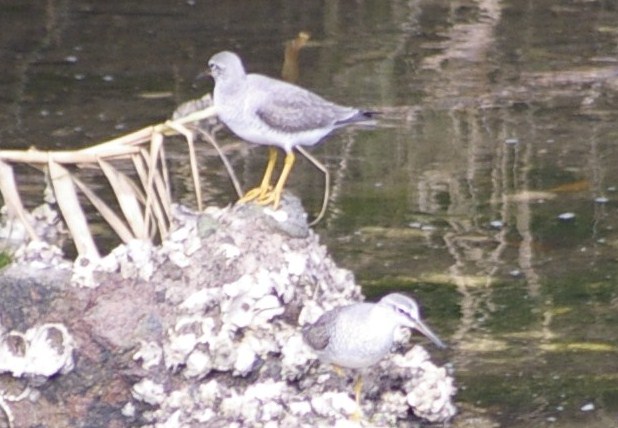 e0197884_2203432.jpg