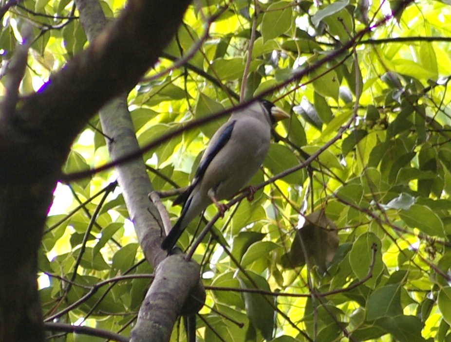 e0197884_221358.jpg