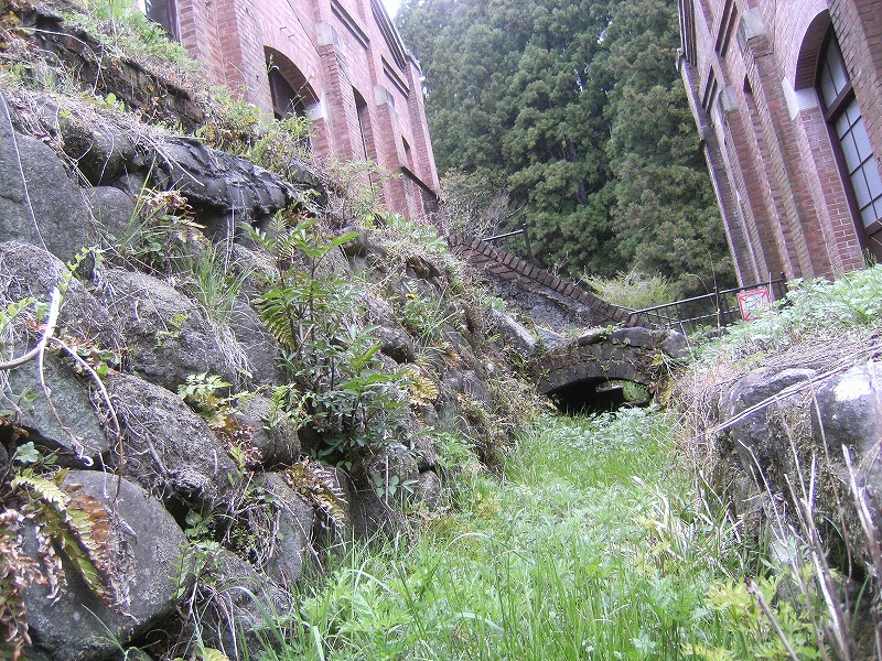 d0226088_17183034.jpg