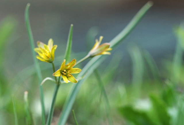 f0000789_2372321.jpg