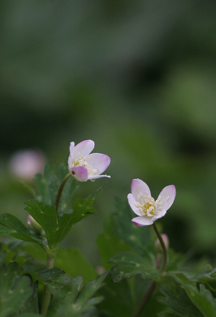 f0000789_2374443.jpg