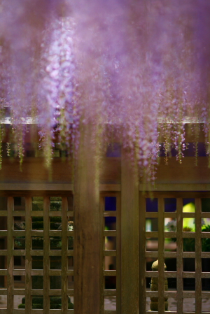 d0133693_14135015.jpg